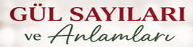 Gül Sayı ve Anlamları